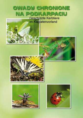 Comenius - plakaty uczniów